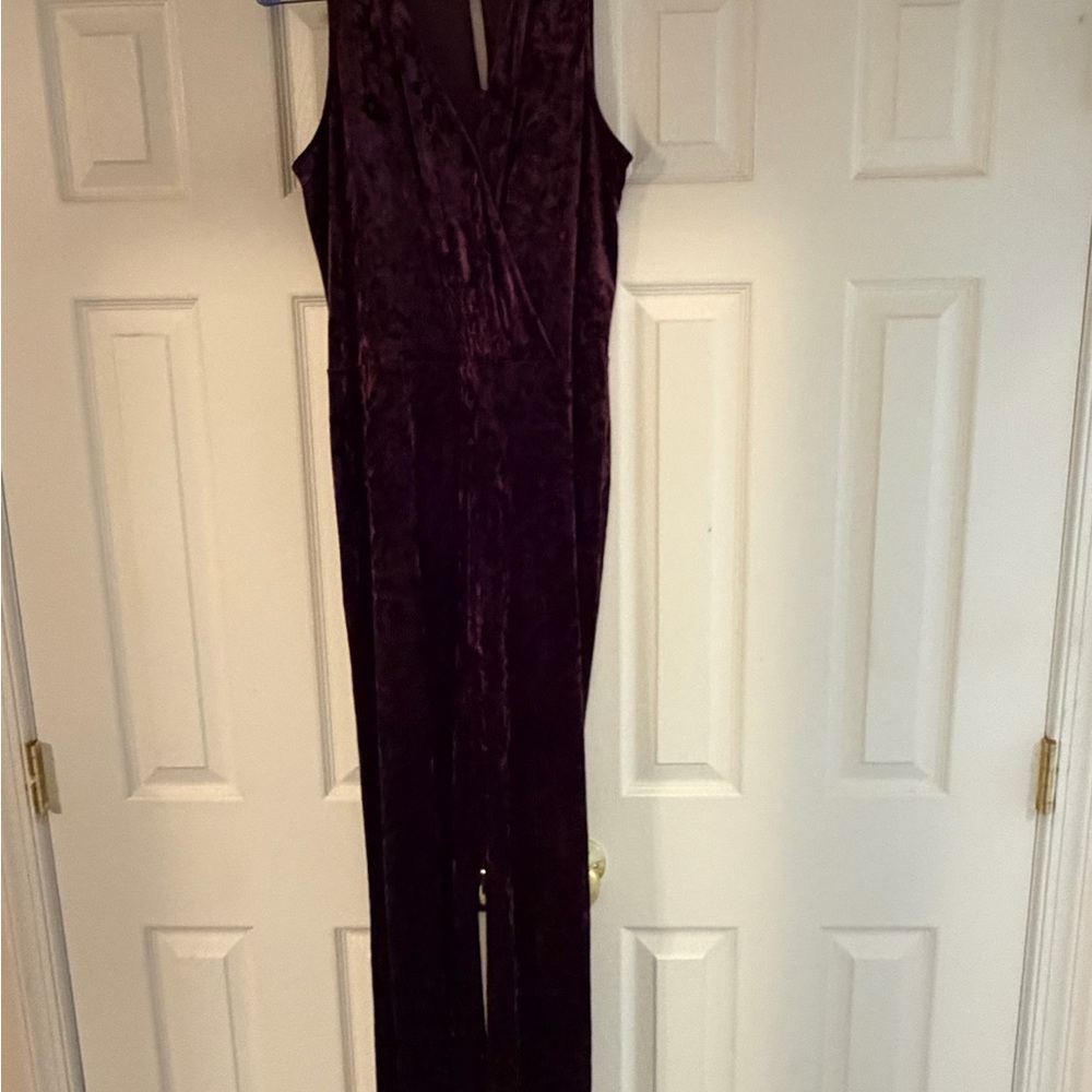 Deep Purple Velvet Jumpsuit